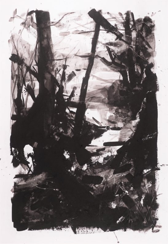 19 Winter Solstice 42 x 59 cm Bideford Black on paper