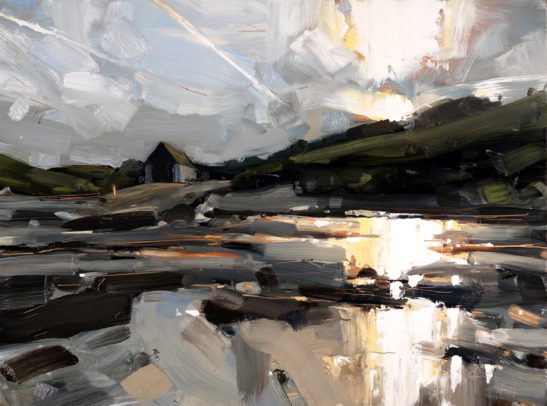 3 Chapel Point Cove 41 x 51 cm oil on board