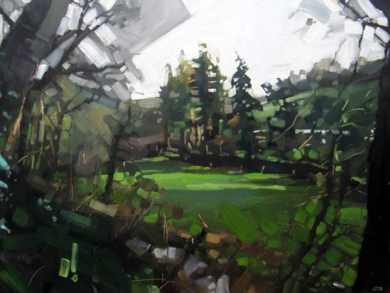 6 Tutshill Woods 60 x 80 cm oil on board