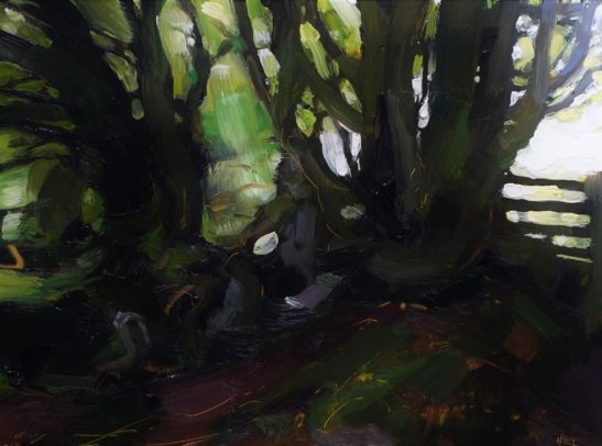 8 Woodland near Withypool 22 x 30 cm oil on board