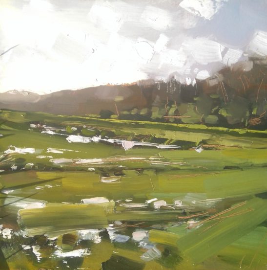 9 Taw Floodplain 20 x 20 cm oil on board