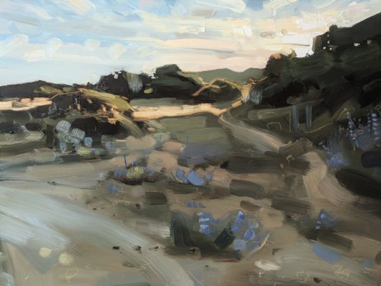 Braunton Burrows Midsummer Night 46 x 61 cm oil on board