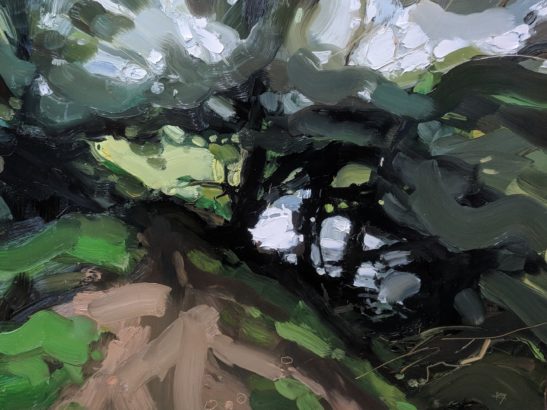 Danes Brook Exmoor 46 x 61 cm oil on board