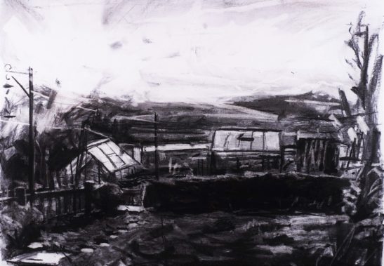 Garden in Bishops Tawton 42 x 59 cm charcoal