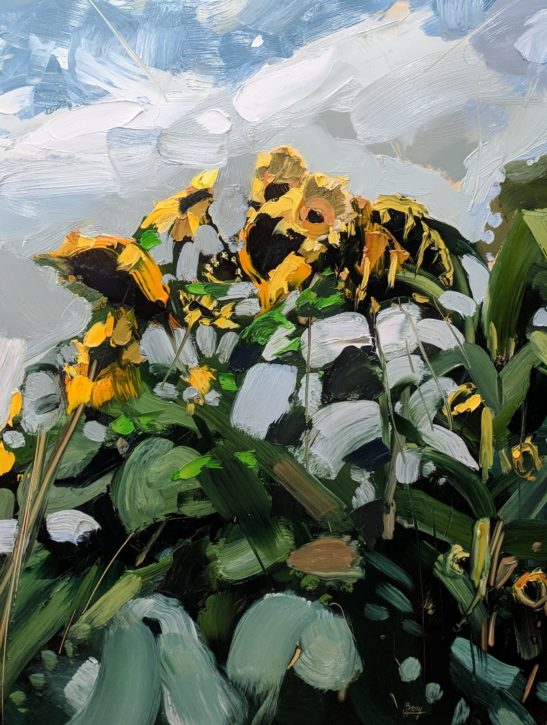 Zebedees Sunflowers 46 x 61 cm oil on board