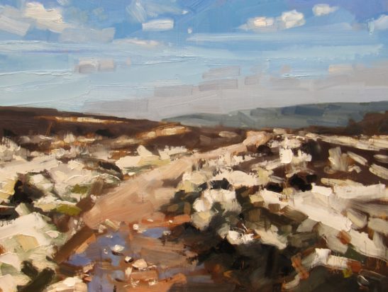 20 Dunkery Beacon 60 x 80 cm oil on board scaled