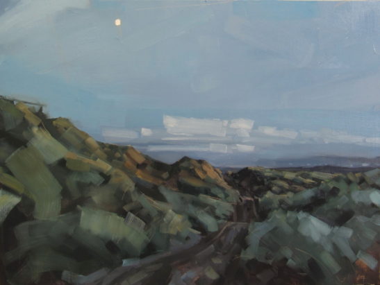 37 The moon over Braunton Burrows 60 x 80 cm oil on board