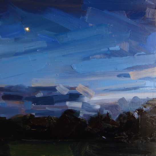 42 stanmer park dusk 50 x 50 cm oil on board