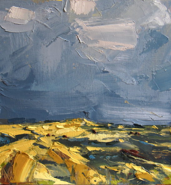 50 braunton burrows 30 x 29 cm