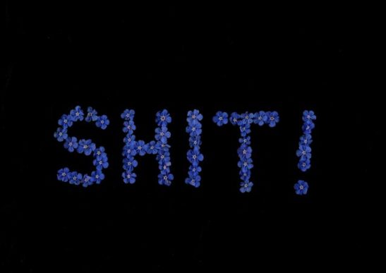 shit digital photograph