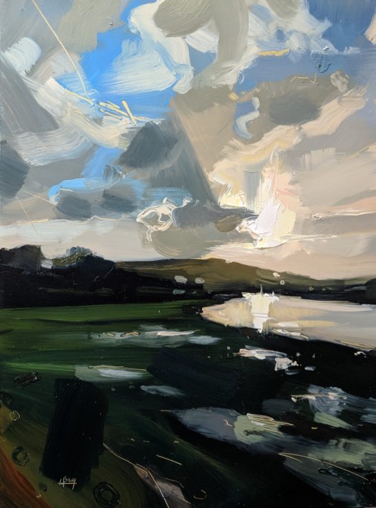 Flooded Field Bishops Tawton 22 x 30 cm oil on board