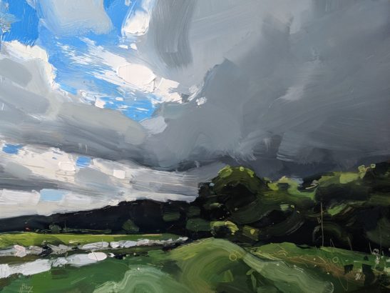 Tawstock Woods 22 x 30 cm oil on board