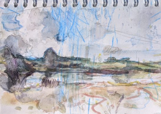 River Taw