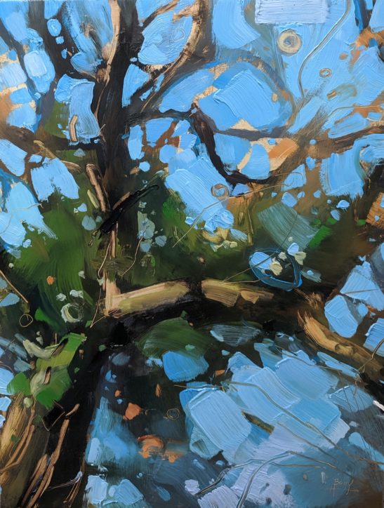 Sunny Tree on a Green Lane 22 x 30cm oil on board