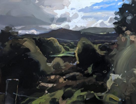 Braich Ddu 46 x 61 cm oil on board