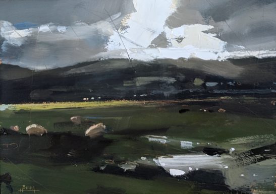 Fairbourne sheep 23 x 16 cm oil on paper