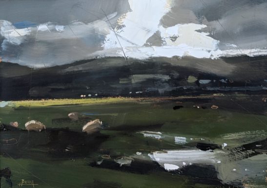 Fairbourne sheep 23 x 16 cm oil on paper