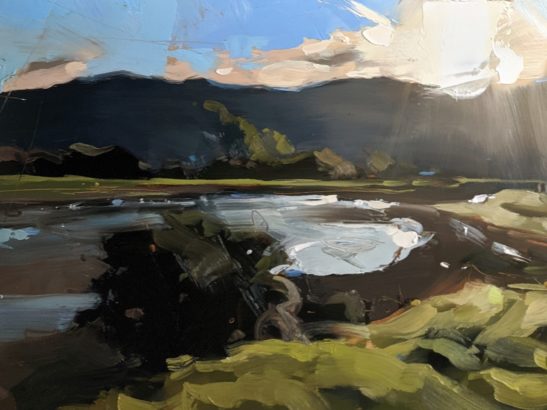 Mawddach Estuary 22 x 30 cm oil on board