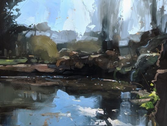 Pond in Putsborough 46 x 61 cm oil on board