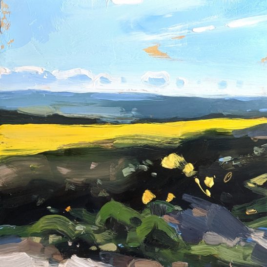 Rapeseed on Codden Hill 20 x 20 cm oil on board 1