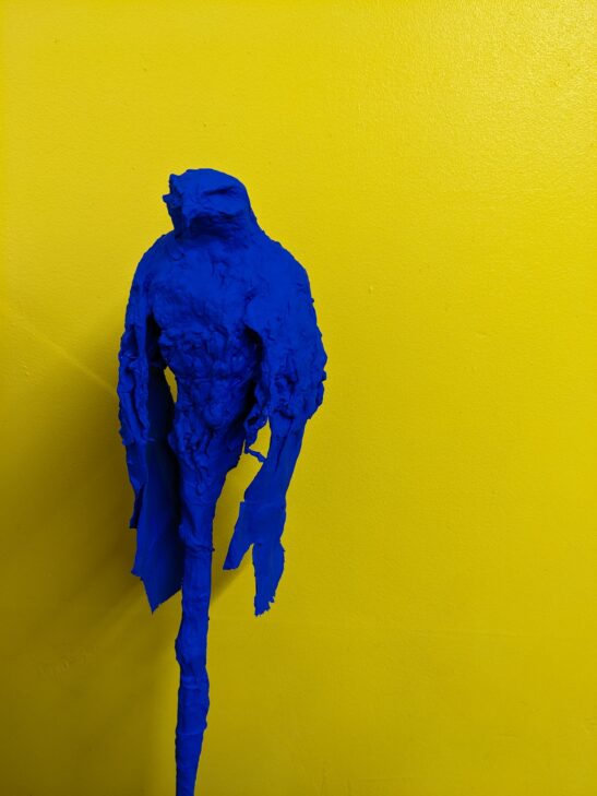 Buzzard (Papier Maché and Jackanda) (2)