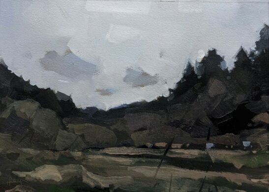 Cardinham Woods (19.5 x 25cm) oil on paper