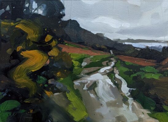 Coast Path Near St. Mawes (20 x 28 cm) oil on board