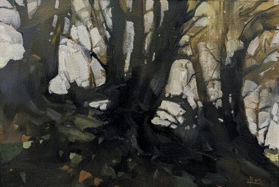 Beeches ( 27 x 19 cm) oil on paper