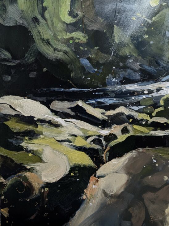 Fairy Glen (30 x 40 cm) oil on board