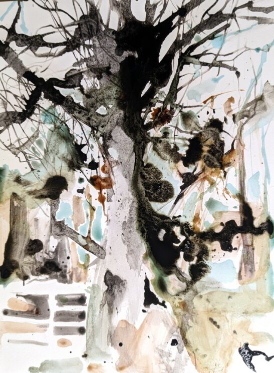 Quantocks, ink