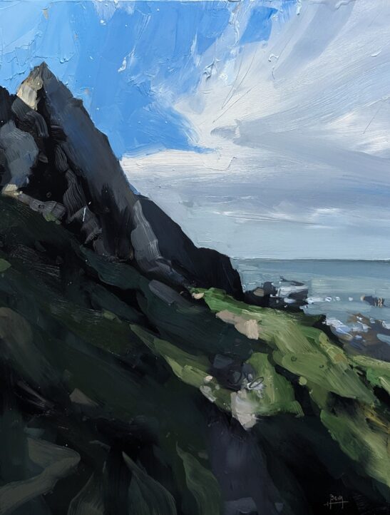 Brownspear Point (30 x 40 cm) oil on board