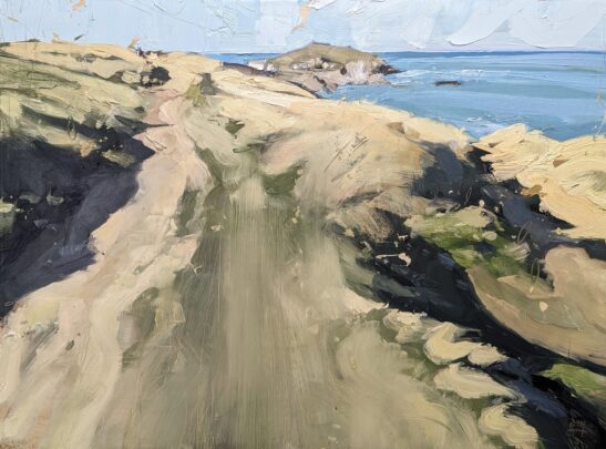 Coast Path from Newquay (60 x 80 cm) oil on board
