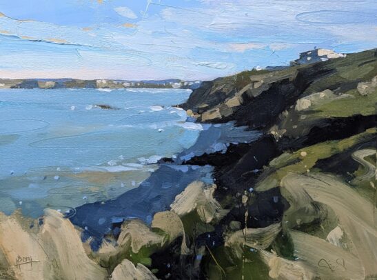 Gazzle, Newquay (29 x 21 cm) oil on paper