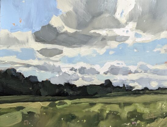 Meadow near Witheridge (22 x 30 cm) oil on board