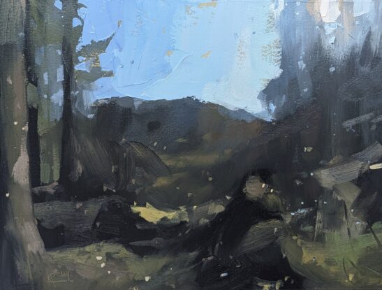 Simonsbath (21 x 28cm) oil on paper