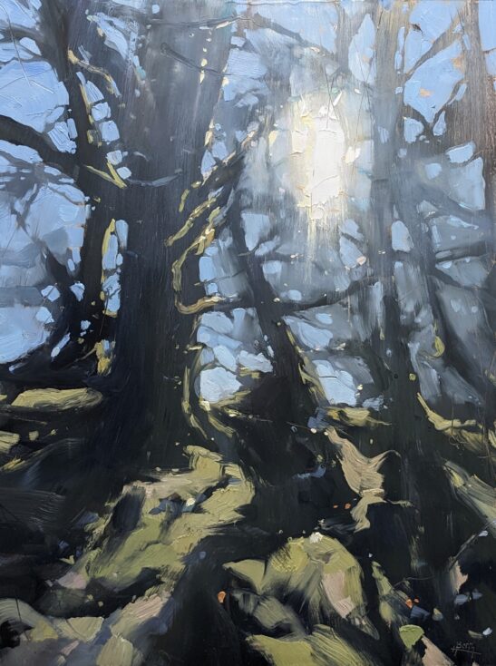 Winter Trees and Light (46 x 61 cm) oil on board