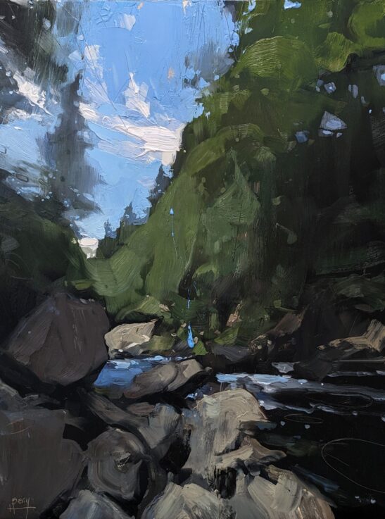 Woods Near Betws y Coed (46 x 61 cm) oil on board