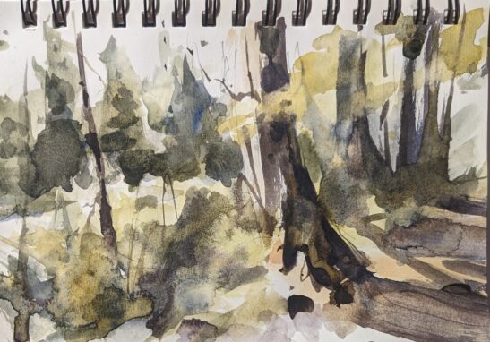 Woods at Regenhütte