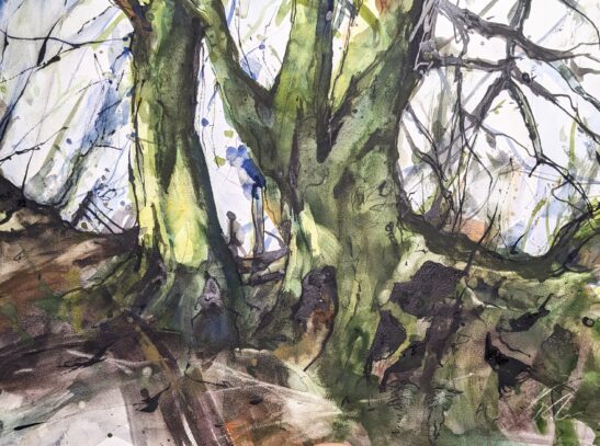 Beeches (30 x 41 cm) watercolours