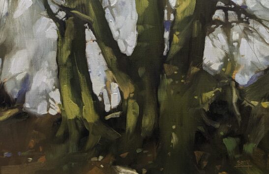 Beeches