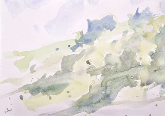 Belstone 2