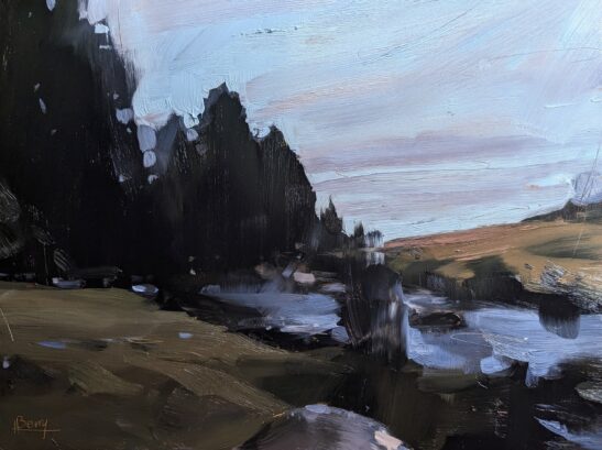 East Dart at Bellever (22 x 30 cm) oil on board