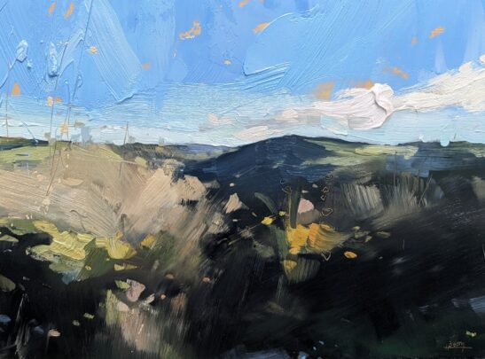 Lyn Valley (22 x 30 cm) oil on board