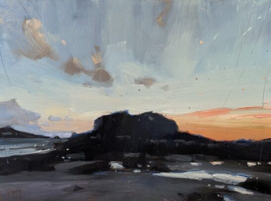 Newford Island (22 x 30 cm) oil on board