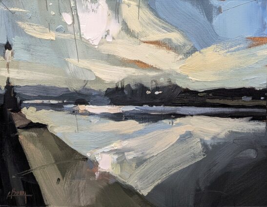 River Taw in Barnstaple