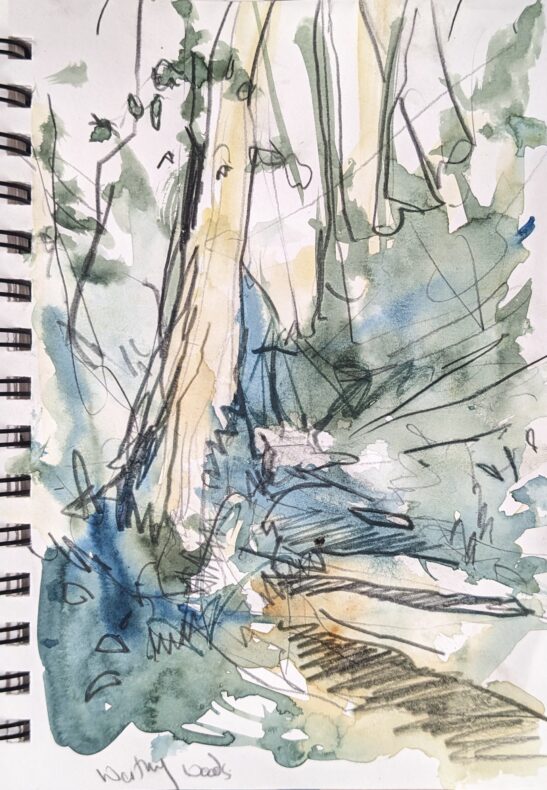 Worthy Combe