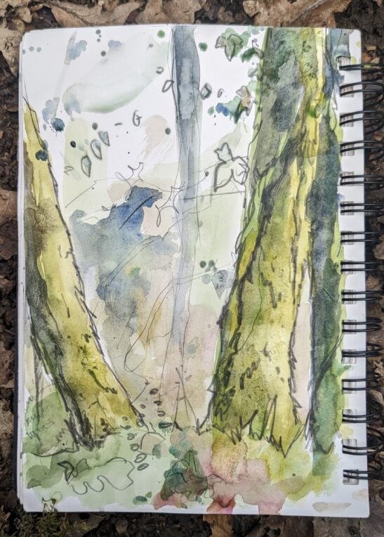 Youlston Wood